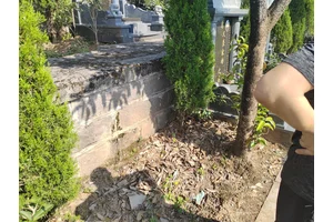 陵园有限公司的一天