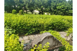 九龙公墓介绍